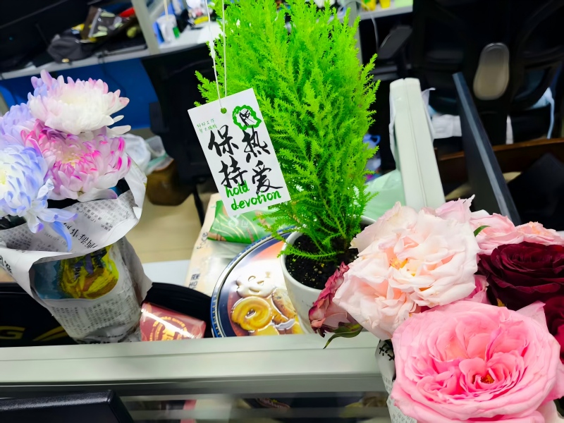 日常聚餐